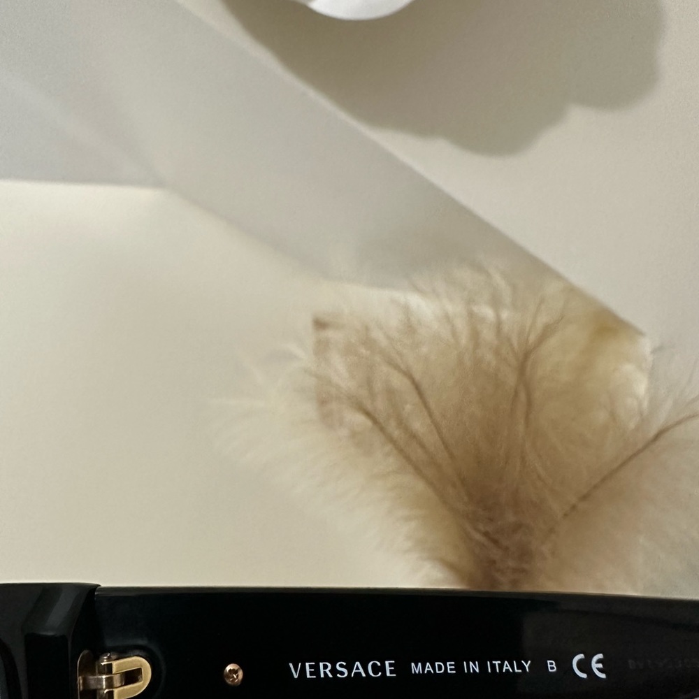Versace Sunglasses Men